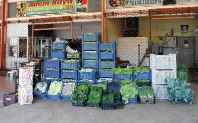 Alanya Komisyoncular Derneği