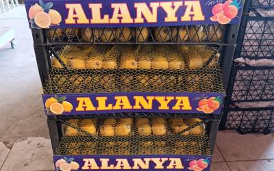 Alanya Komisyoncular Derneği